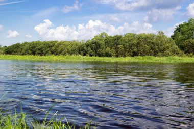  Nehir kıyısından, gökyüzünden ve ağaçlardan oluşan manzara