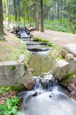 Yazın taşlarla dolu hızlı orman akıntısı