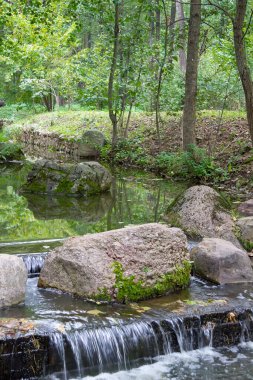 Yazın taşlarla dolu hızlı orman akıntısı