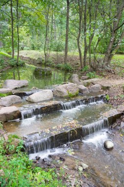 Yazın taşlarla dolu hızlı orman akıntısı