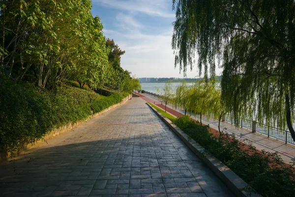 Sentiero nel parco con lanterna e panca — Foto Stock