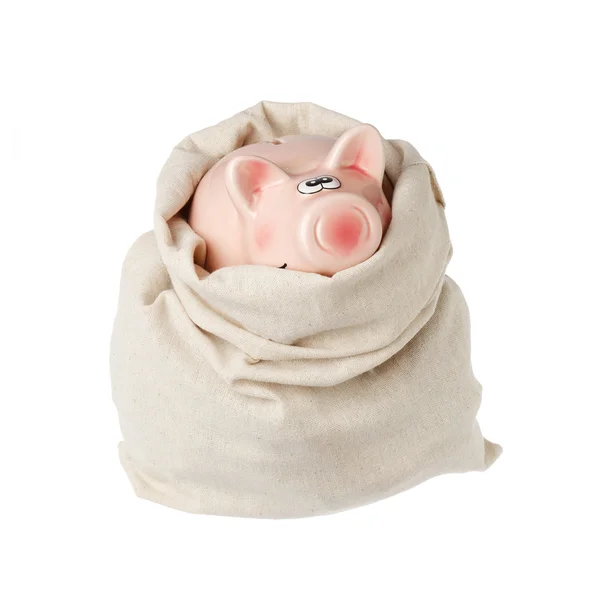 Piggy Bank en una bolsa —  Fotos de Stock