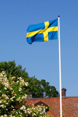 Hoisted Swedish flag during the summer season waving against a clear blue sky. clipart