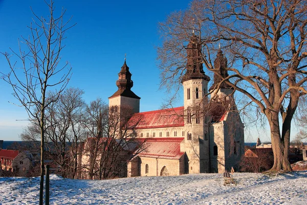 Widok Katedrę Visby Szwedzkiej Prowincji Gotlandia — Zdjęcie stockowe