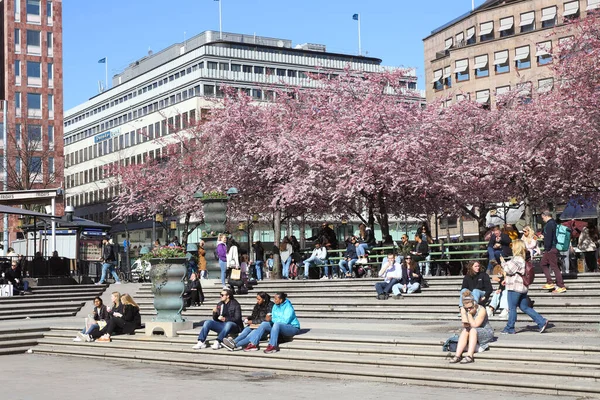 Stockholm Schweden April 2021 Menschen Sitzen Neben Den Blühenden Japanischen — Stockfoto