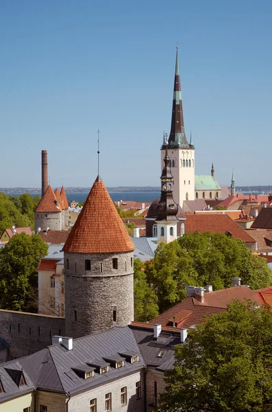 Stare Miasto Tallinn, Estonia — Zdjęcie stockowe