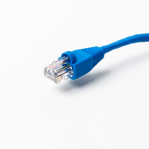 Connection cable CAT5e — Stock Photo, Image