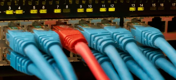 Network switch with connection cables, one red and some are blue — Stock Photo, Image