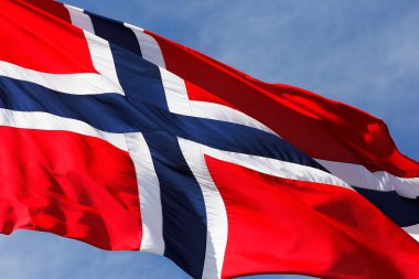 nowegian bayrağı