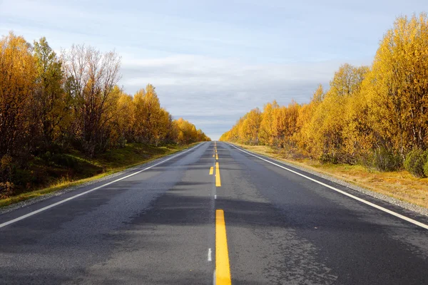 Road in autmn lanscape — Stock Photo, Image