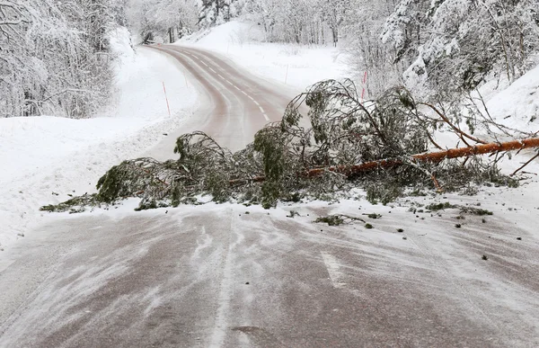 Ostacolo sulla strada — Foto Stock