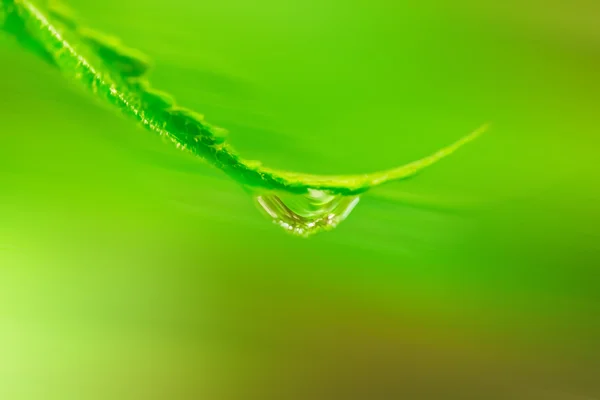 Gota de agua — Foto de Stock