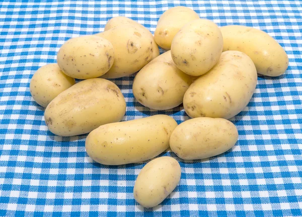 Batata bebé — Fotografia de Stock