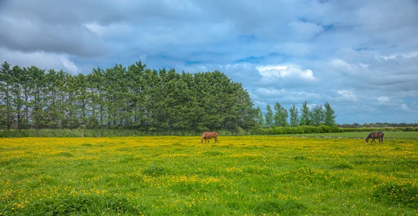 Rurale — Foto Stock