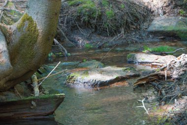 Ural. Şeytanın Tepesi. Nehir