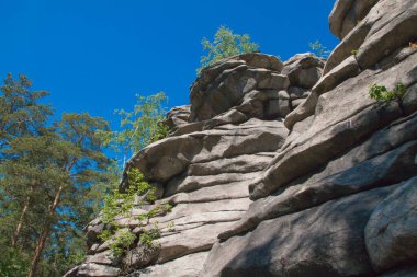 Ural. Şeytanın Tepesi. Kayalar ve huş ağaçları
