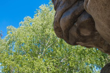 Ural. Şeytanın Tepesi. Kayalar ve huş ağaçları