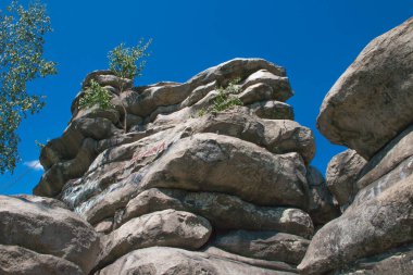 Ural. Şeytanın Tepesi. Kayalar ve huş ağaçları