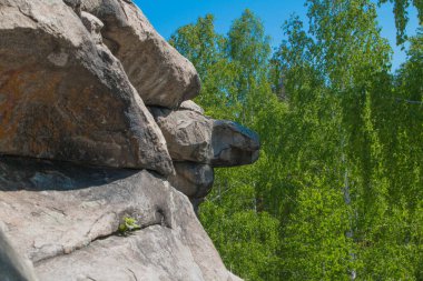 Ural. Şeytanın Tepesi. Kayalar ve huş ağaçları