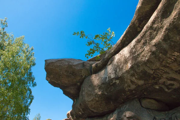 Ural Devil Hillfort Rocks Birches — Stock Photo, Image