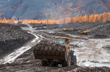 Buldozerler ve tekerlek yükleyiciler iş başında. Madencilik. Buldozerler dağlık ormanlardaki toprağı kesiyor ve tekerlek yükleyicileri toprağı taşıyor.
