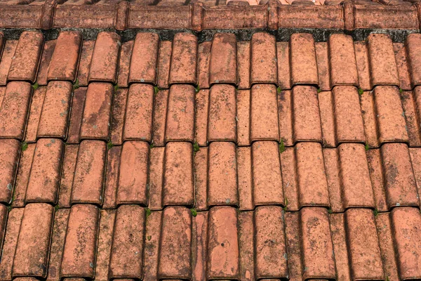 Old Roof Texture Green Slime — Stock Photo, Image