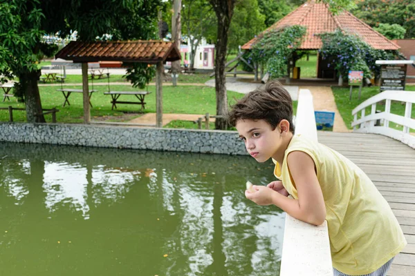 Niño Años Apoyado Barandilla Pequeño Puente Sobre Lago —  Fotos de Stock