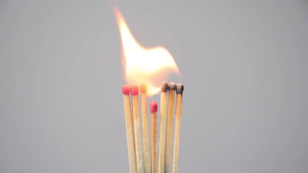 Seven matchsticks aligned laterally being accessed and burned. — Stock Video