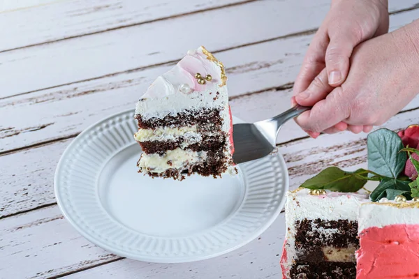 스위스 버터크림 초컬릿 케이크 조각을 접시에 — 스톡 사진
