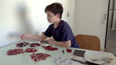 12 yaşında Brezilyalı bir genç yapı taşlarını inceliyor..