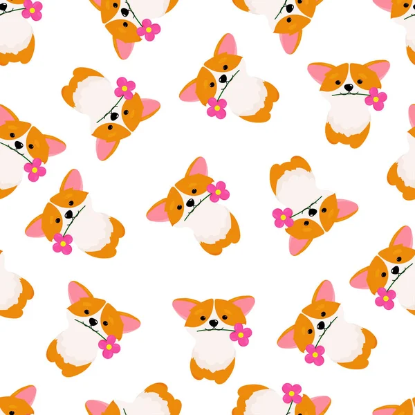 Corgi ile komik bir geçmişi var. Çiçeksiz desenli Corgi