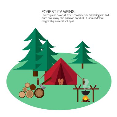 Orman kamp ve yürüyüş