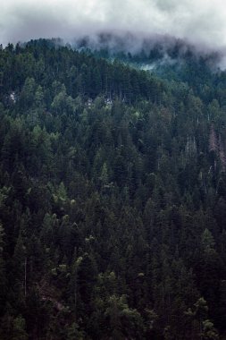 Dağlardaki bulutlu hava, tepelerdeki bulutlar