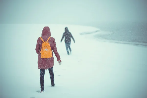 Passeggiata invernale 5 — Foto Stock