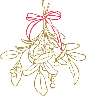 Yaylı minimalist ökseotu sanat illüstrasyonu zarif Noel botanik süslemesi, basit İskandinav bayramı grafiği mevsimsel tasarım projeleri için modern kış ana hatları vektörü.