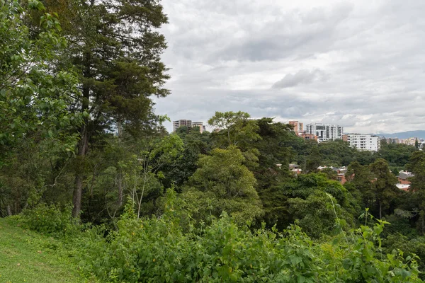 Manzaralı panoramik manzara bulutlu gökyüzünün altında uzak bir şehir silueti olan yoğun yeşil bir orman gösteriyor. Doğa ve kentsel çevre arasındaki uyum kavramı, seyahat ve ekoloji temaları için ideal.