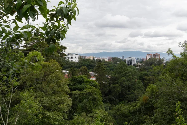 Yoğun yeşil bitki örtüsü ve yumuşak bulutlu ışık altında uzak şehir silueti. Sürdürülebilirliği, çevresel farkındalığı ve doğa ile kentsel yaşam arasındaki uyumu temsil eder..