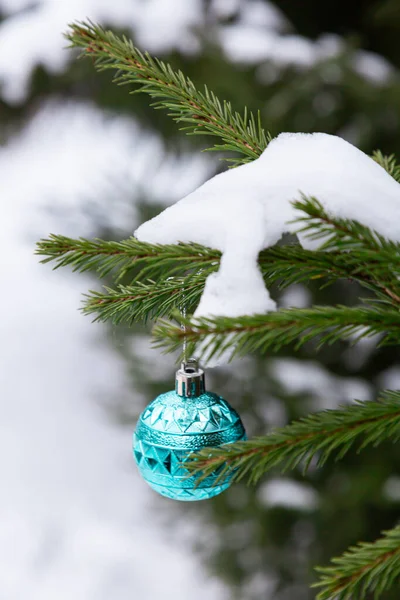 Karla kaplı köknar dalı Noel toplarıyla süslenmiş. Şenlikli kış konsepti. Yeni yıl ya da Noel geçmişi.