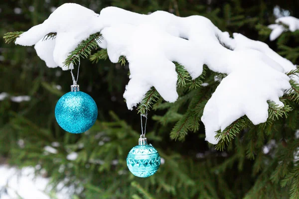 Snow Covered Fir Branch Decorated Christmas Balls Festive Winter Concept Royalty Free Stock Images