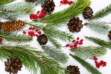 Yılbaşı veya yeni yıl kompozisyonu böğürtlen, ladin, kozalak ve dal. Beyaz arka planda çeşitli kozalaklı dallar ve kozalaklar. Tatil kartpostalı