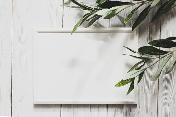 Beyaz tahta bir masanın üzerinde okaliptüs filizi olan beyaz fotoğraf çerçevesi. Minimalist, nazik bir model.