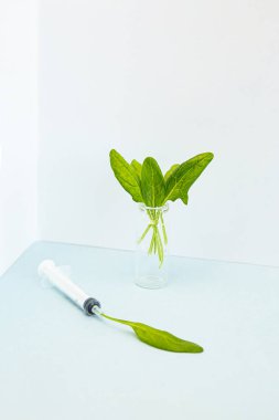 Yaratıcı asgari sağlıklı beslenme konsepti. İlaç şişesinde ıspanak yaprakları ve şırıngada ıspanak yaprakları. Covid-19 salgını ve aşılar sırasında sağlıklı beslenme.