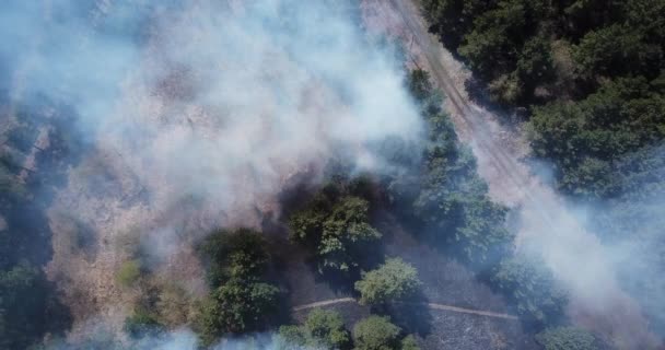 乾季には森林火災が発生する 森林火災によるシベリア森林の破壊 道路は焼畑林を通っている 空中風景 — ストック動画