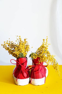 Yaratıcı, bahar kompozisyonu. Kırmızı spor ayakkabılı buket mimoza çiçekleri, vazo yerine kullanın. Gölgeli sarı-beyaz arka planda modaya uygun yaşam sahnesi