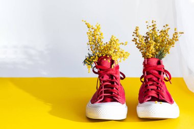 Yaratıcı, bahar kompozisyonu. Kırmızı spor ayakkabılı buket mimoza çiçekleri, vazo yerine kullanın. Gölgeli sarı-beyaz arka planda modaya uygun yaşam sahnesi