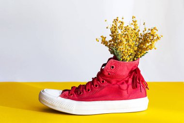 Yaratıcı, bahar kompozisyonu. Kırmızı spor ayakkabılı buket mimoza çiçekleri, vazo yerine kullanın. Gölgeli sarı-beyaz arka planda modaya uygun yaşam sahnesi