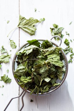 Çay süzgecinde kurutulmuş frenk üzümü yaprakları. Alternatif bitkisel ilaç. Sağlıklı yaşam tarzı kavramı. Açık ahşap bir masada organik, doğal bitki çayı ile kompozisyonu.