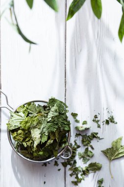 Çay süzgecinde kurutulmuş frenk üzümü yaprakları. Alternatif bitkisel ilaç. Sağlıklı yaşam tarzı kavramı. Açık ahşap bir masada organik, doğal bitki çayı ile kompozisyonu.