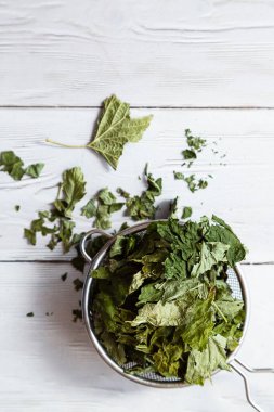 Çay süzgecinde kurutulmuş frenk üzümü yaprakları. Alternatif bitkisel ilaç. Sağlıklı yaşam tarzı kavramı. Açık ahşap bir masada organik, doğal bitki çayı ile kompozisyonu.