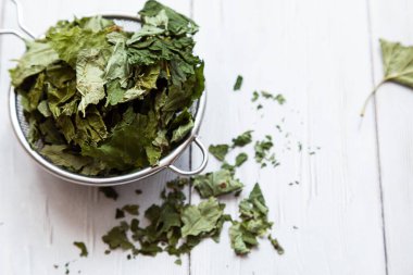 Çay süzgecinde kurutulmuş frenk üzümü yaprakları. Alternatif bitkisel ilaç. Sağlıklı yaşam tarzı kavramı. Açık ahşap bir masada organik, doğal bitki çayı ile kompozisyonu.